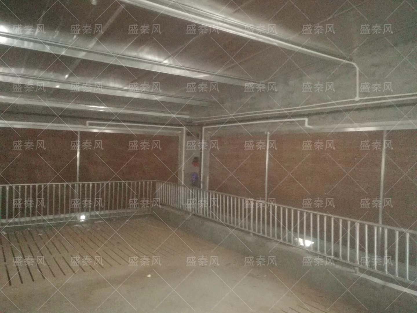 原來養豬場的通風降溫還有這些講究！看看您就知道了